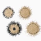 Natural Weave Dimensional Wall Art