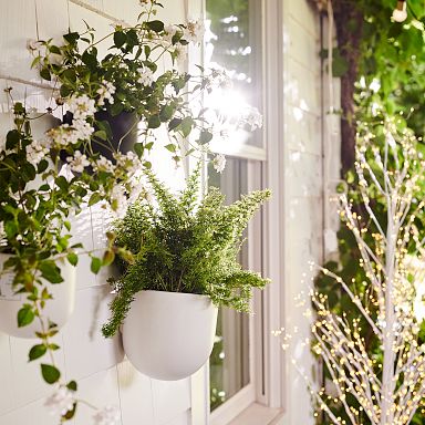 Hanging Planters Indoor Planters | West Elm
