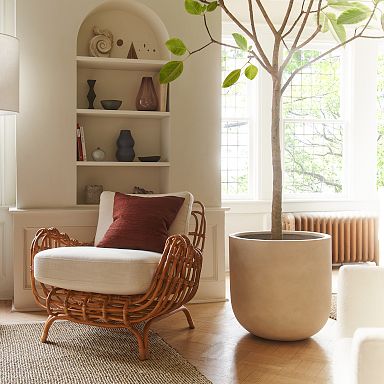 Indoor Planters for Home Decor | West Elm
