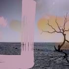 Alternate Image