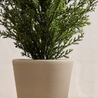 Faux Potted Subtle Glitter Pine Tabletop Tree