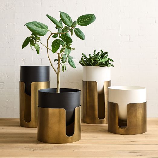 Eden Cross Base Brass Standing Planter | West Elm