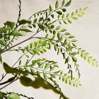 Faux Fern Branch
