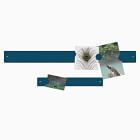 Magnetic Bulletin Board Bundle