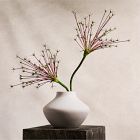 Faux Firework Allium Stem