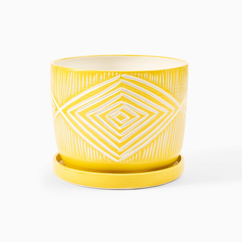 SampleHAUS Zulu Planter w/ Dish by West Elm