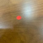 Open Box: Upholstered Round Storage Ottoman, 30" W - Performance+ Yarn Dyed Linen Weave Graphite, Walnut