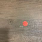 Open Box: Cannellini Solid Wood Coffee Table (47") - Natural