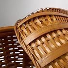 Emma Chamberlain Apple Basket