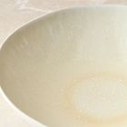 Oyku Stoneware Pasta Bowl Sets