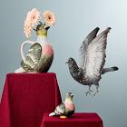 Emma Chamberlain Pigeon Collection