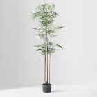 Faux Potted Australian Bottleneck Tree