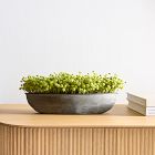 Faux Potted Baby's Breath w/ Planter