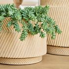 Asher Ceramic Planters