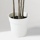 Faux Potted Grass Tree