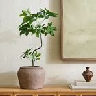 Faux Potted Tropical Tree