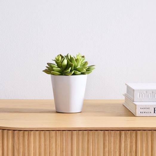 Faux Potted Echeveria Succulent Plant | West Elm