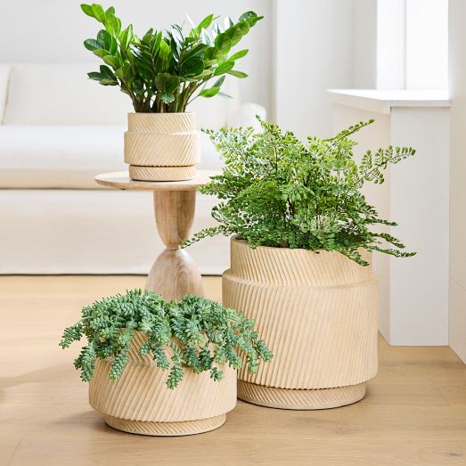Ceramic Indoor/Outdoor Wallscape Planters | West Elm