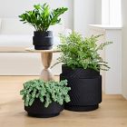 Asher Ceramic Planters