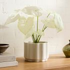 Faux Potted Dasheen Leaf Plant