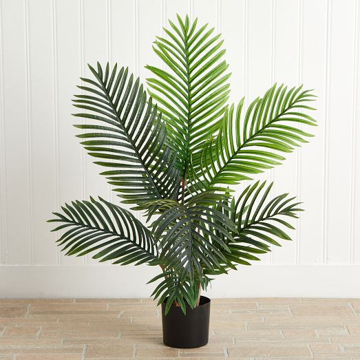 Faux Potted Paradise Palm Tree Decor | West Elm