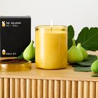 Field Kit - The Solarium Candle