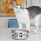 Catenary Halo Chrome Pet Bowl