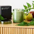 Field Kit - The Greenhouse Candle