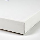Prosperity 2 Canvas Wall Art by Jess Engle