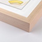 Conservas Framed Wall Art by Kim Whiteside