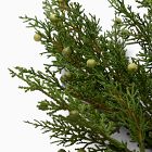 Faux Juniper Branch