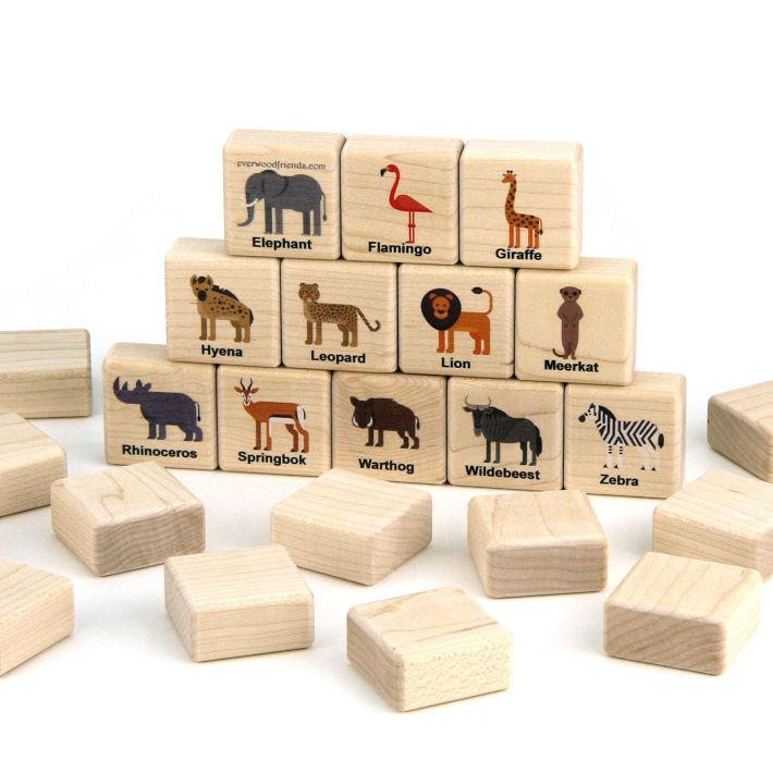 Everwood Friends Building Blocks Beginner Set | West Elm