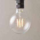 Open Box: LED Light Bulb, Large Globe (8.5W LED G40 2700K)
