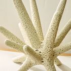 Spiky Ceramic Objects