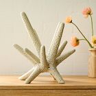 Spiky Ceramic Objects
