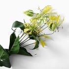 Faux Gloriosa Lily Bundle