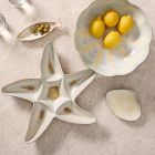 Seashell Appetizer Plate Sets