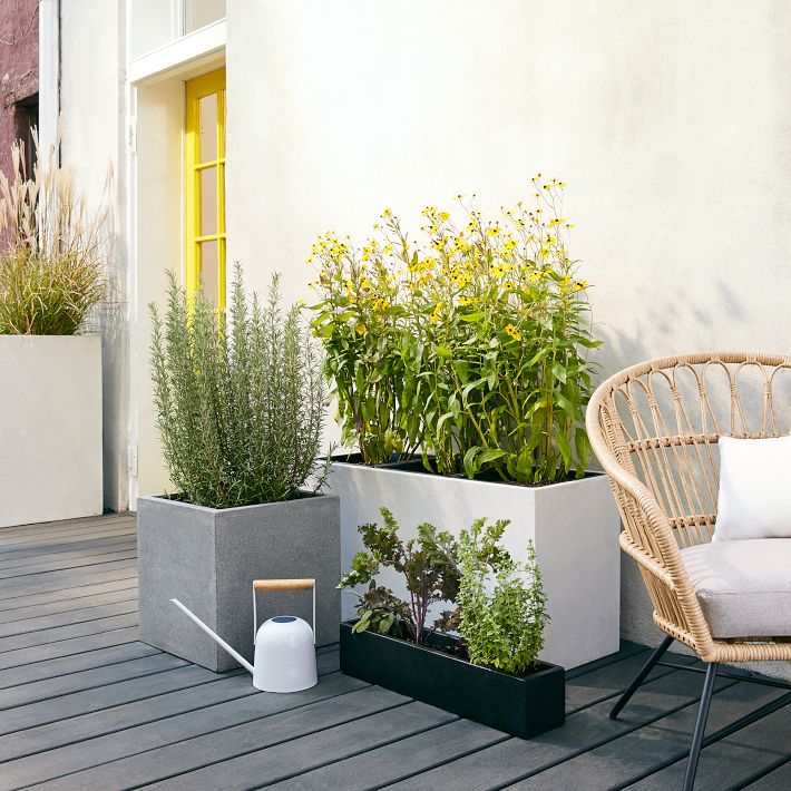 grow plant pot Back to the Roots - Plantable Seed Starting Pots - Includes 24 Pots
