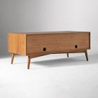 Mid-Century Wall Media Storage (48")