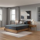 Beautyrest Mattress®