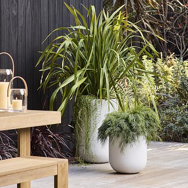Indoor Planters for Home Decor | West Elm
