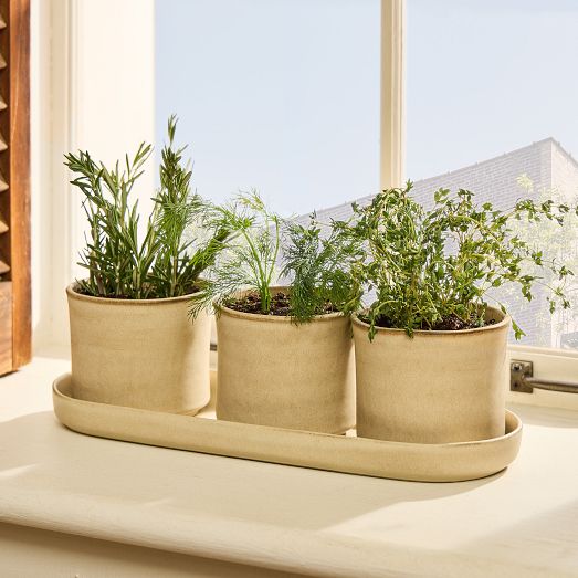 Fluted Ceramic Windowsill Planter | West Elm