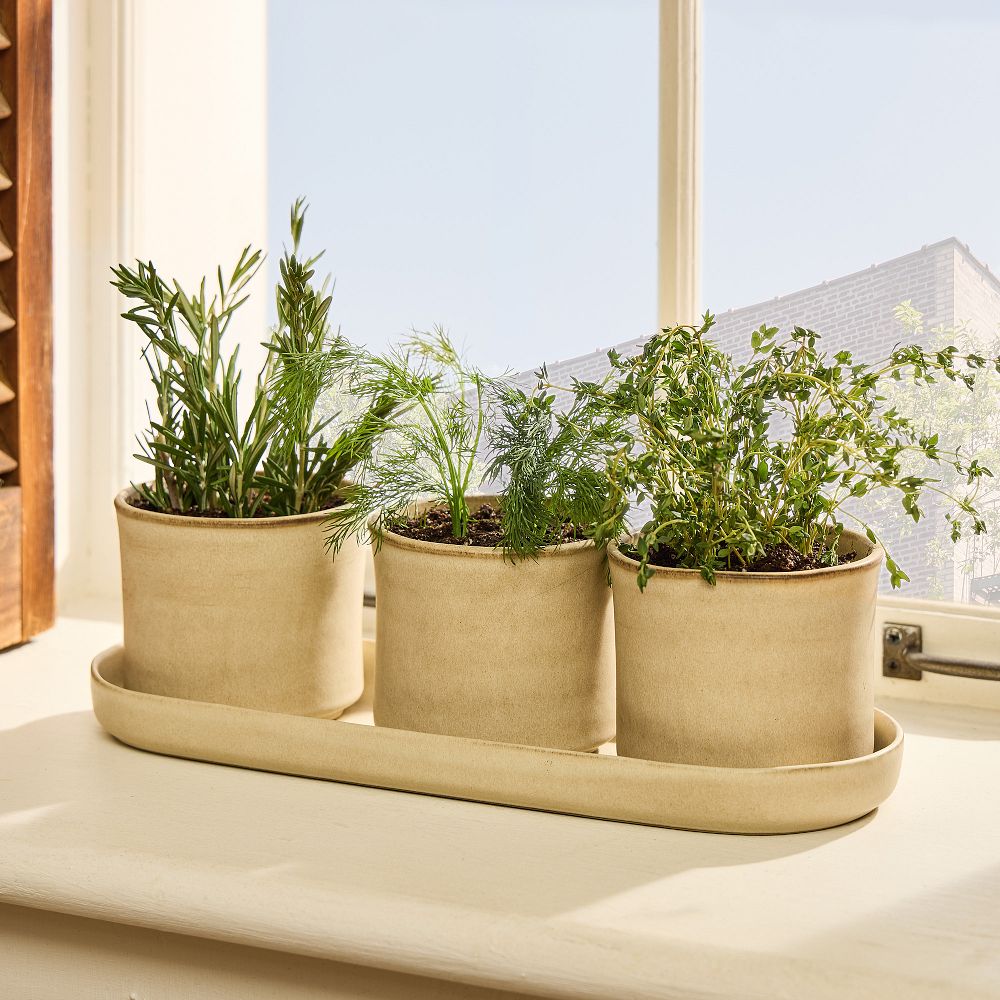 Herb Planter Trio by West Elm