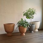 Colin King Ficonstone Indoor/Outdoor Pedestal Planters