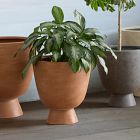 Colin King Ficonstone Indoor/Outdoor Pedestal Planters