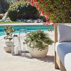 Form Studies Ceramic Planters