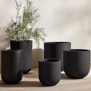 Indoor Planters for Home Decor | West Elm