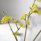 Faux Yellow Bud Branch