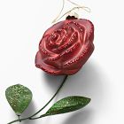 Rose Ornament