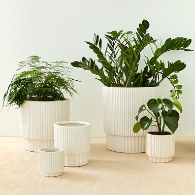 Indoor Planters All Gifts | West Elm